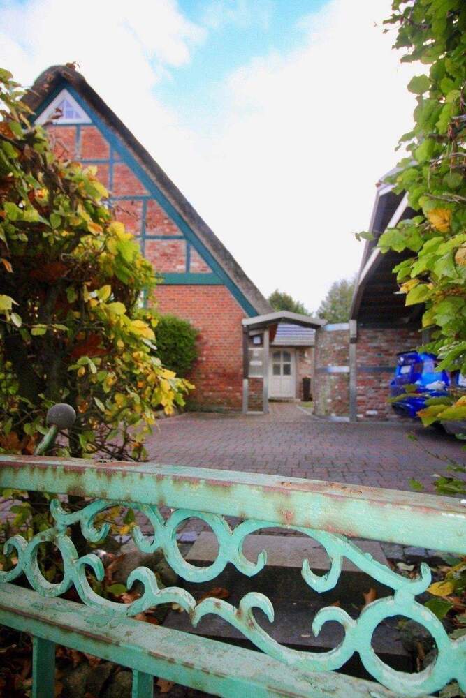 3 Immobilien im Paket - Reetdachhaus - Maisonette Reihenhaus - 4 Zimmerwohnung - alles frei - perfekt zum Vermieten