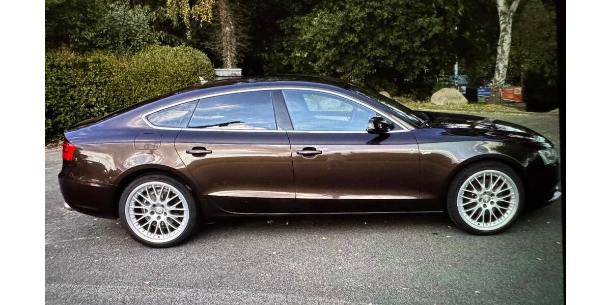 Audi A5 236.500 km 10.999 &euro; Neu Wulmstorf 21629