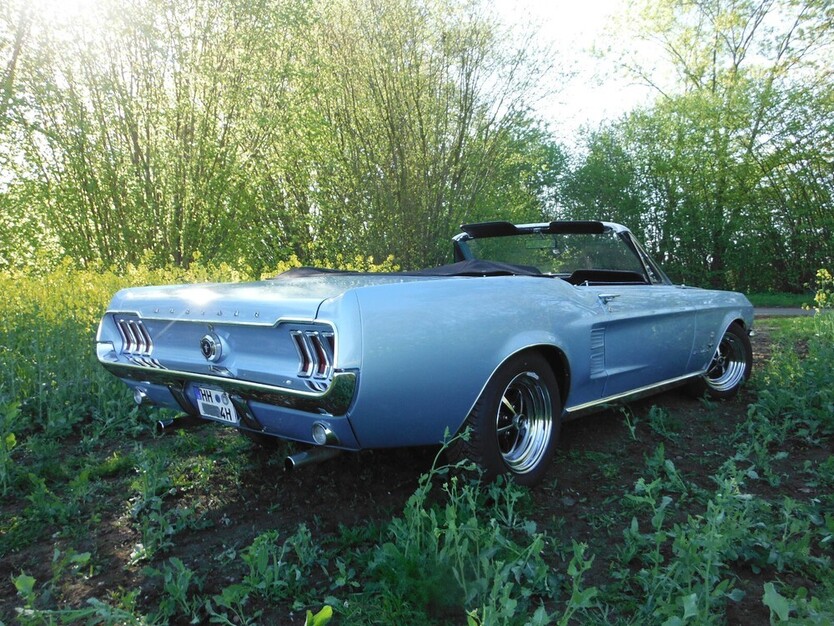 Mustang