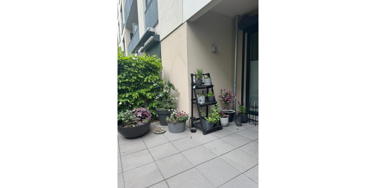Erdgeschoßwohnung Hamburg Hamburg-Mitte - 2 Zimmer, 60 m&sup2;, 1.400&euro; | Angebot:24884228