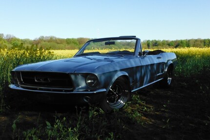 Ford Mustang 125.000 km 50.000 € Hamburg 20038