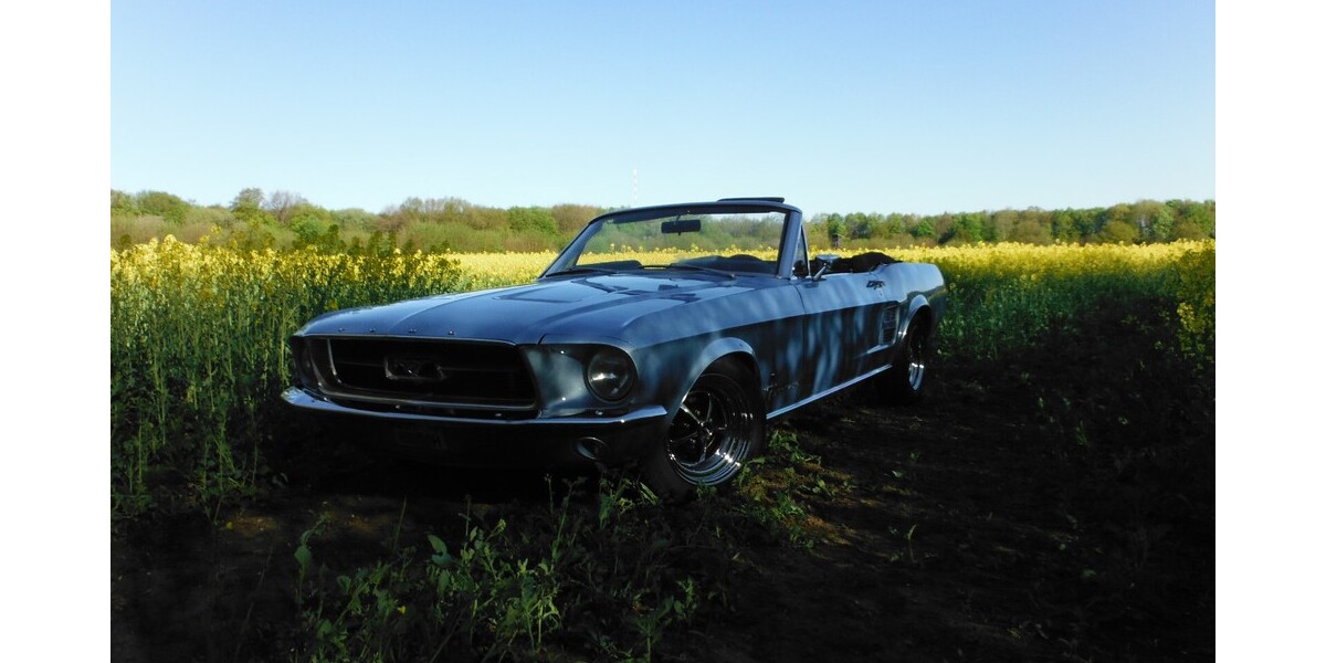 Ford Mustang 125.000 km 50.000 € Hamburg 20038