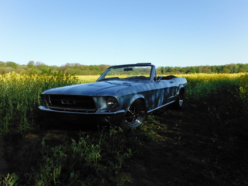 Ford Mustang 125.000 km 50.000 € Hamburg 20038