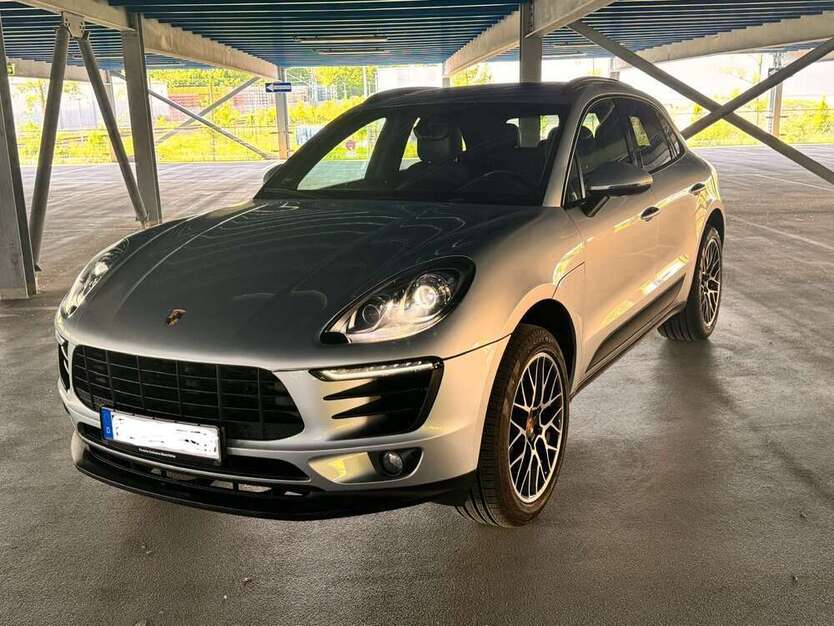 Macan