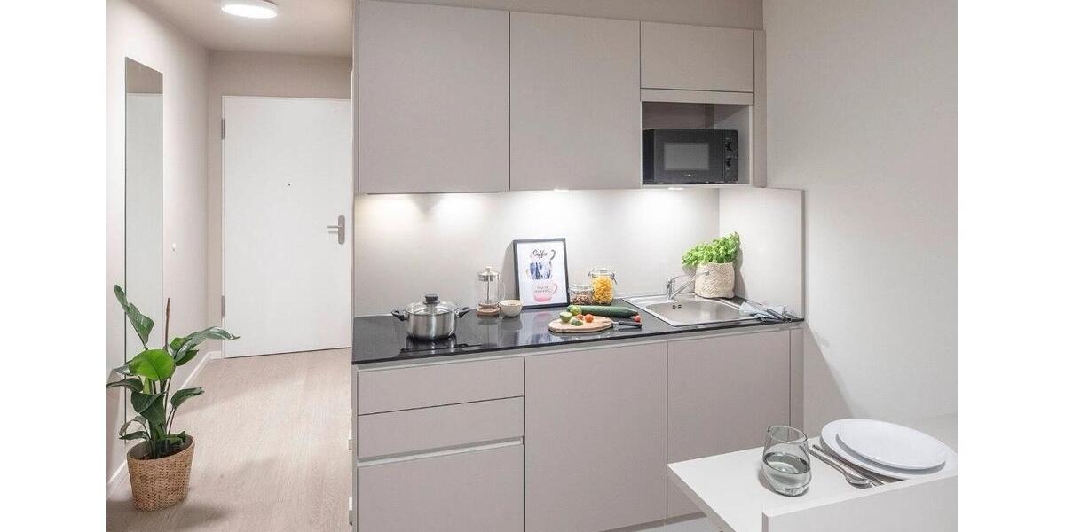 Appartement zum 1.6.2026 zu vermieten 1 zimmer