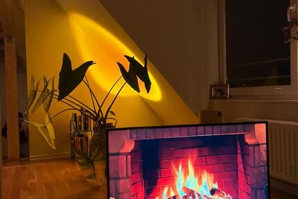 Wohnung Hamburg Eimsbüttel - 1 Zimmer, 47 m&sup2;, 1.000&euro; | Angebot:26270883