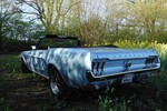 Mustang