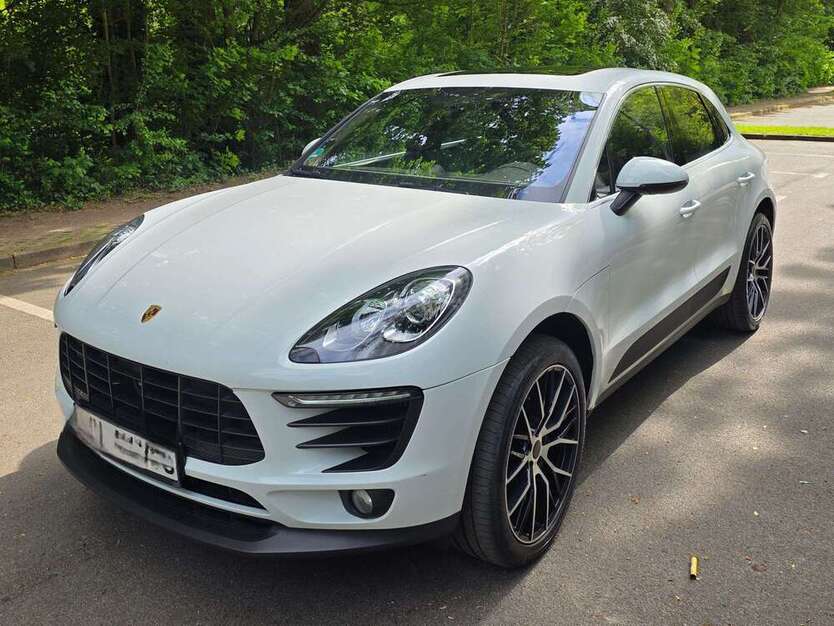 Macan