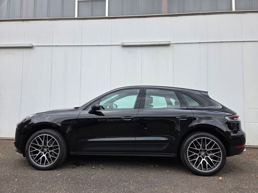 Macan