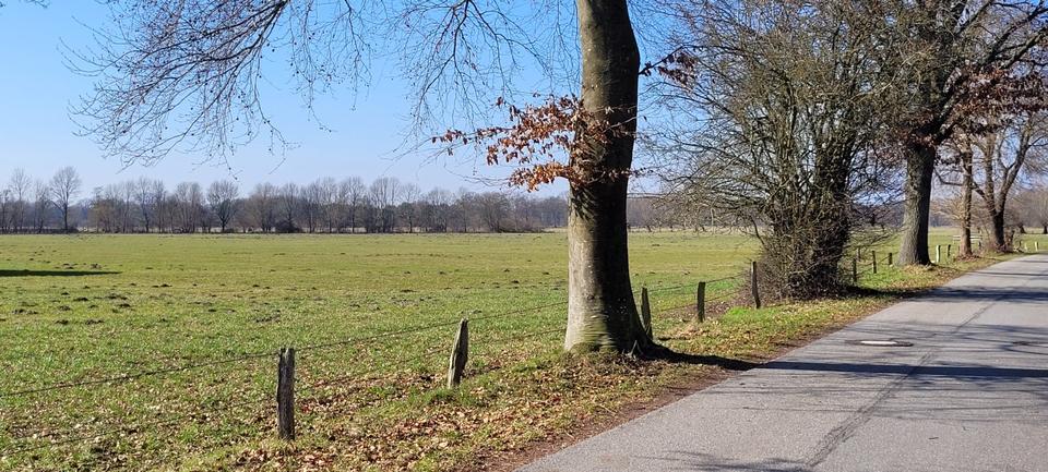 Etagenwohnung Bönningstedt - 4 Zimmer, 90 m&sup2;, 1.500&euro; | Angebot:25395219