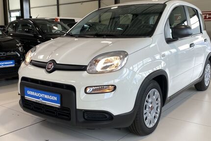 Fiat Panda 15.726 km 11.490 &euro; Buchholz in der Nordheide 21244