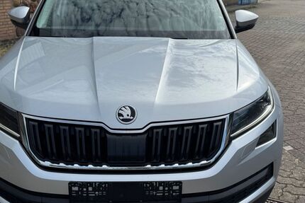 Skoda Kodiaq 170.000 km 17.800 &euro; Winsen (Luhe) 21423