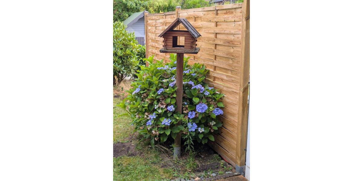 Reihenhaus Neu Wulmstorf - 5 Zimmer, 113 m&sup2;, 269.000&euro; | Angebot:25286862