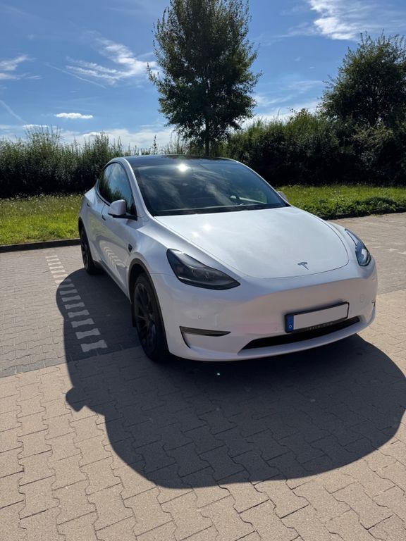 Model Y