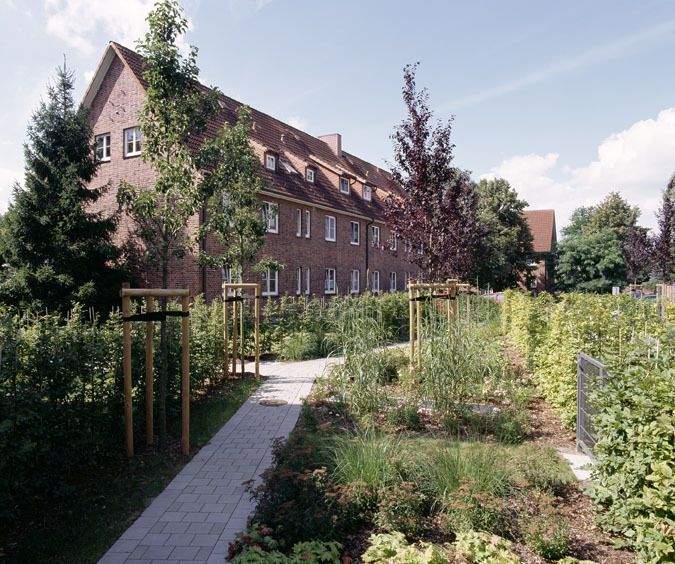 2,5 Zimmer-Wohnung in Garstedt 2 zimmer