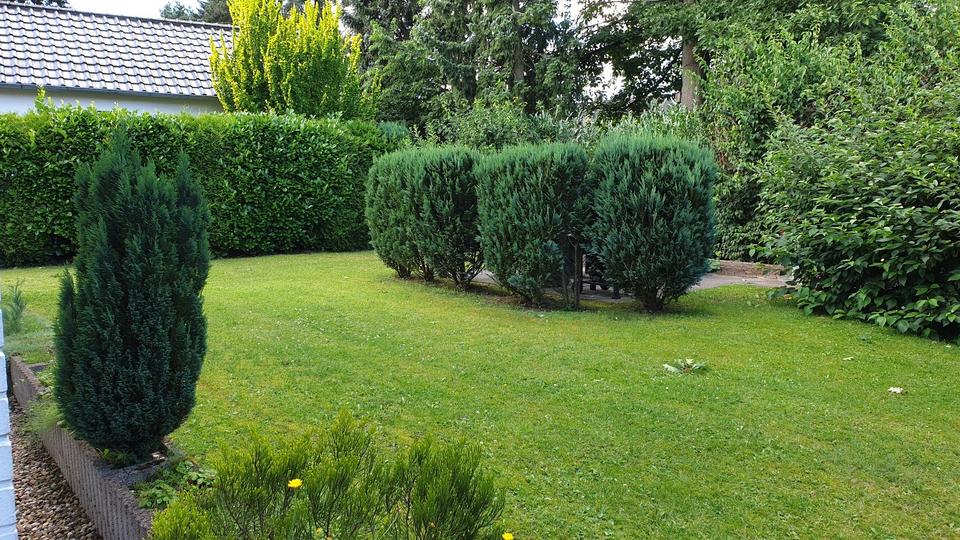 Etagenwohnung Buchholz in der Nordheide - 2 Zimmer, 46 m&sup2;, 625&euro; | Angebot:25496037