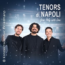 Tenors di Napoli - Italian Christmas Dreams 16.12.2025 Rudolf Steiner Haus