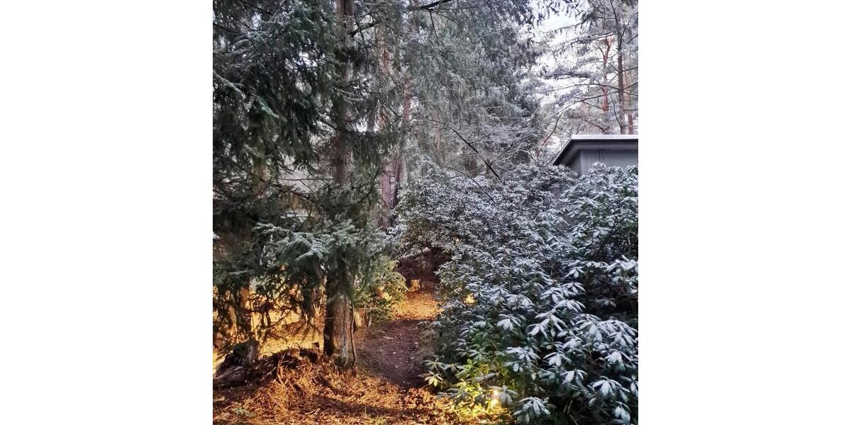 Anfragestopp! Waldhütte zwischen Lüneburg und Lüneburger Heide 1.5 zimmer