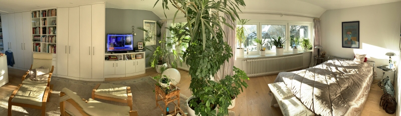 Mittelreihenhaus mit Südterrasse in Hittfeld – hell, großzügig, charmant - Reihenmittelhaus Seevetal Hiitfeld | Angebot:27671576