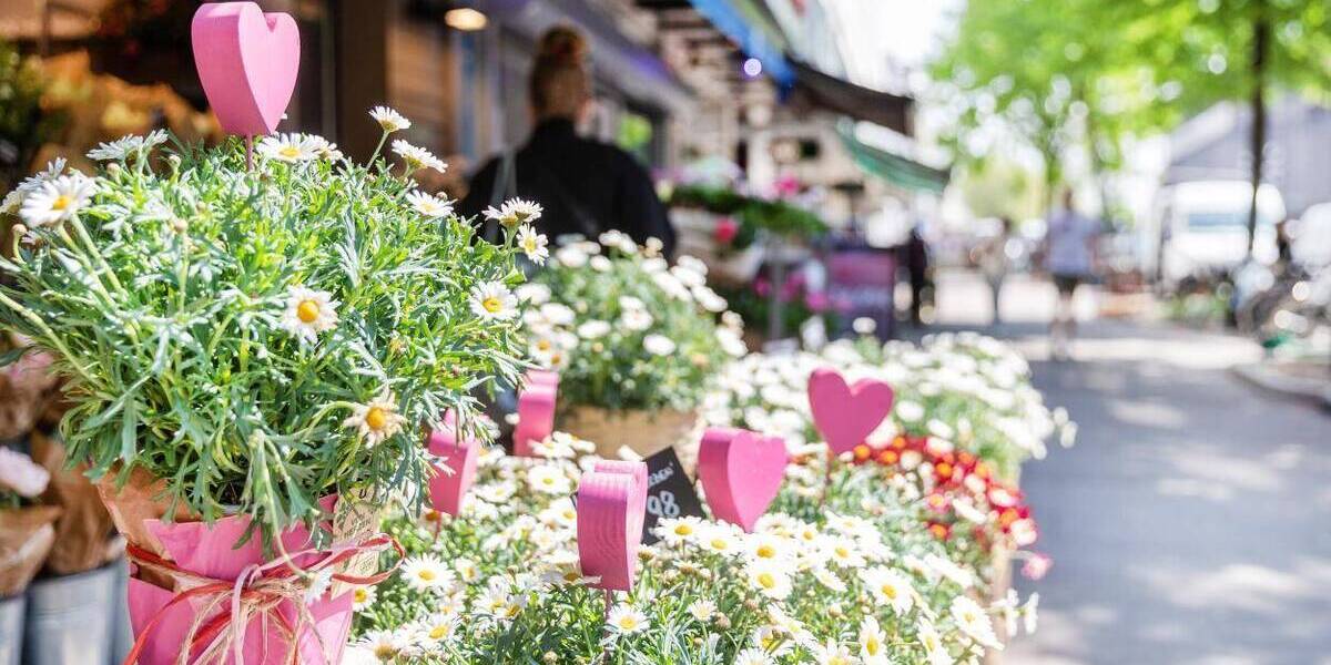 Etagenwohnung Hamburg Altona-Nord - 3 Zimmer, 81 m&sup2;, 548.100&euro; | Angebot:26308797