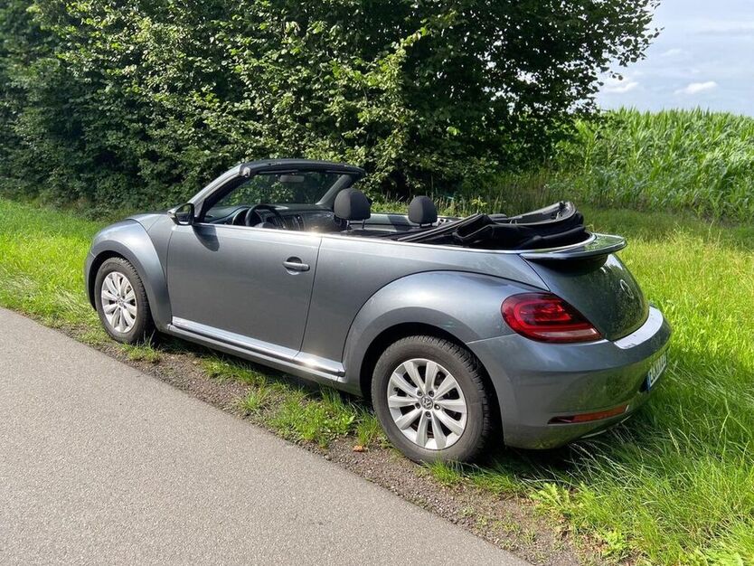 Beetle