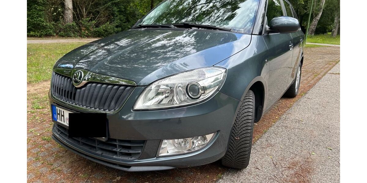Skoda Fabia 126.750 km 4.190 &euro; Hamburg 22119