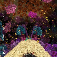 Die Chemie des Lebens - Das Unsichtbare in uns 3D 08.10.2025 Planetarium Hamburg
