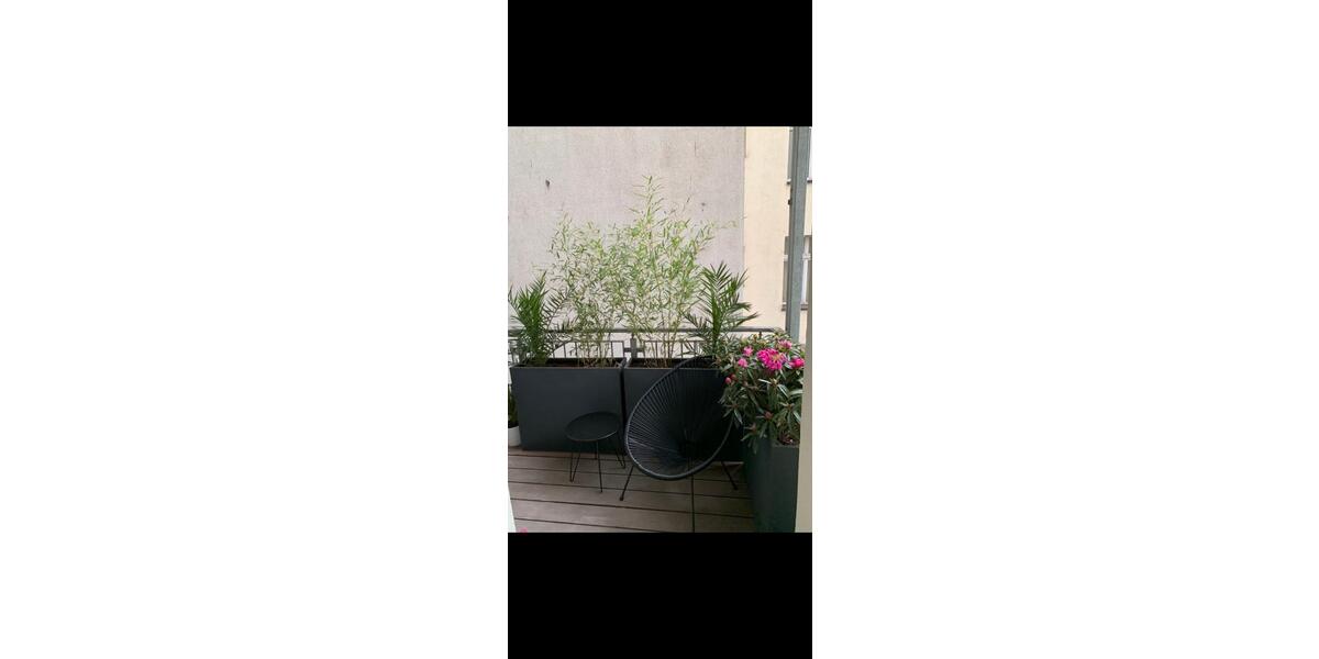 Hochparterre Hamburg Hamburg-Mitte - 4 Zimmer, 104 m&sup2;, 799.000&euro; | Angebot:26451601