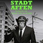 Stadtaffen - Eine Hommage an Peter Fox und SEEED