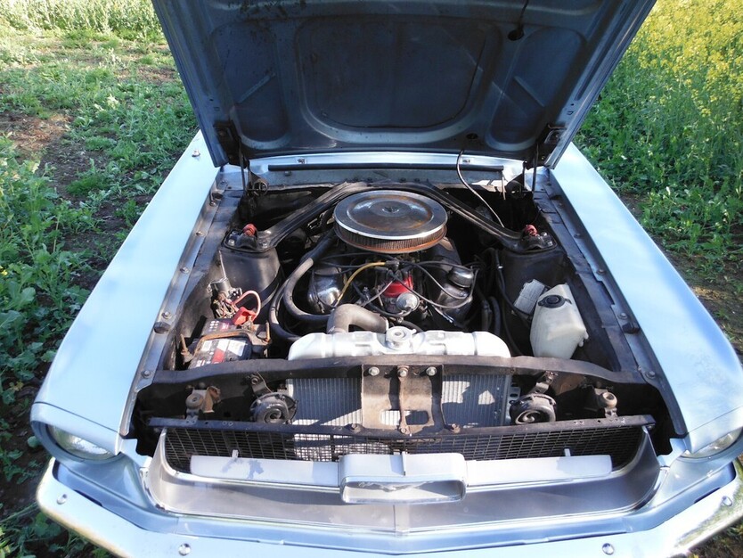 Mustang