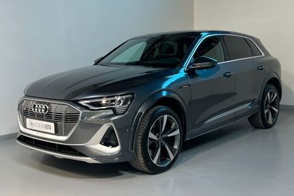 Audi e-tron 39.900 km 39.975 &euro; Ellerhoop bei Hamburg 25373