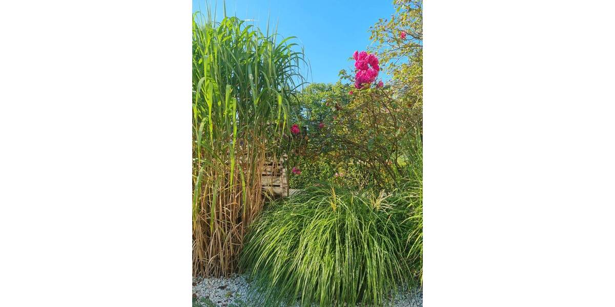 Einfamilienhaus Buchholz in der Nordheide Buchholz - 3 Zimmer, 118 m&sup2;, 587.300&euro; | Angebot:26391260