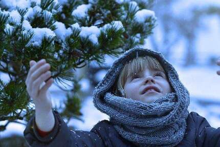 Haus Hamburg Eidelstedt - 5 Zimmer, 170 m&sup2;, 988.740&euro; | Angebot:24668000