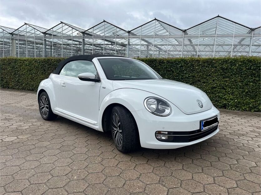 Beetle