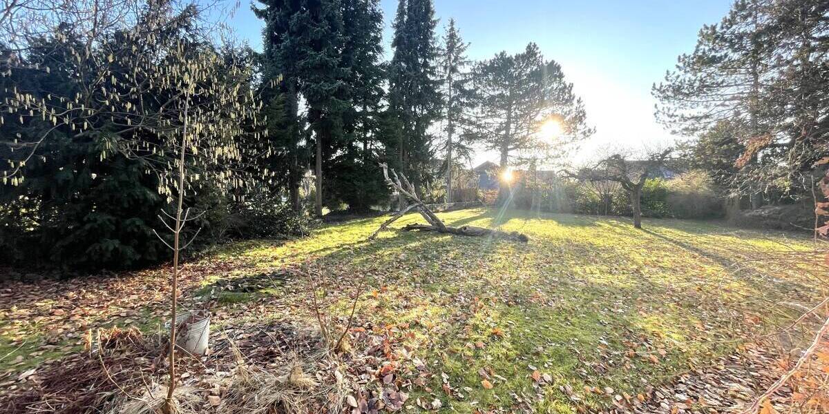 Doppelhaushälfte Hamburg Jenfeld - 5 Zimmer, 161 m&sup2;, 479.000&euro; | Angebot:26309898