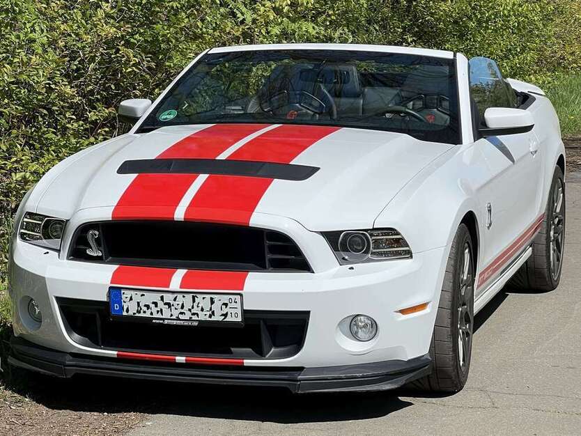 Mustang