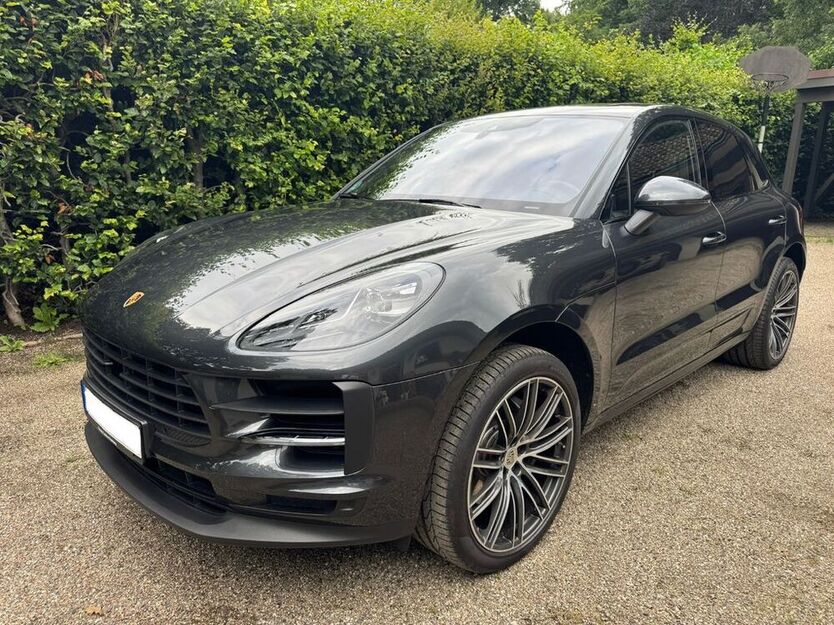 Macan