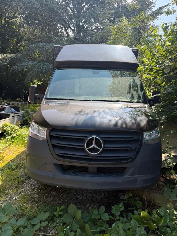 Sprinter