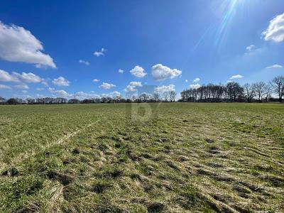 GROßE FLÄCHE MIT VIELSEITIGER NUTZUNG - Grundstück Oststeinbek | Angebot:26345562