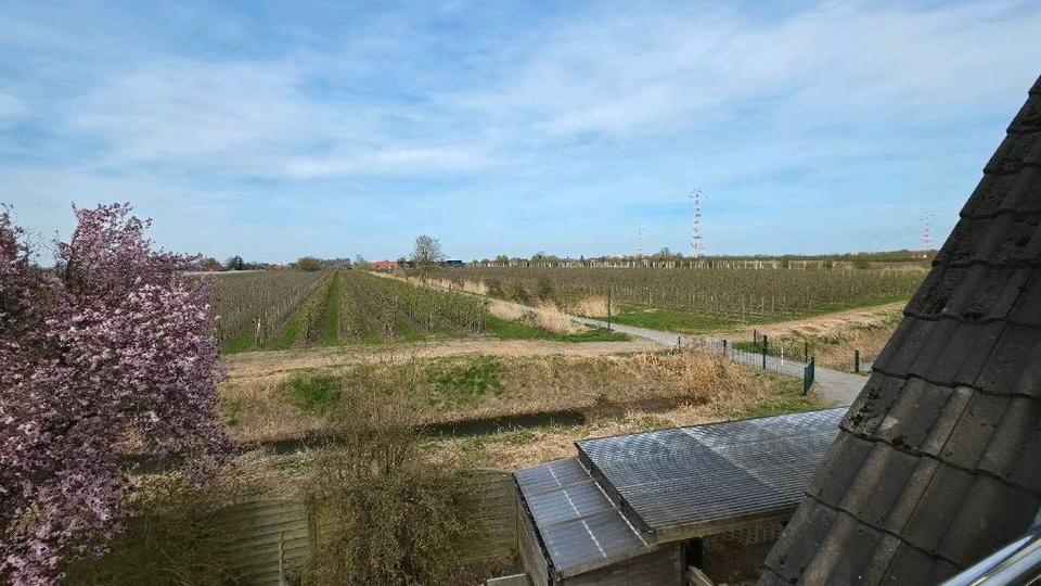 Dachgeschoßwohnung Hollern-Twielenfleth Twielenfleth - 3 Zimmer, 80 m&sup2;, 950&euro; | Angebot:26129910