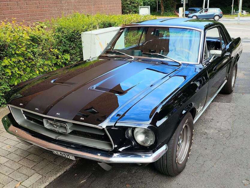 Mustang