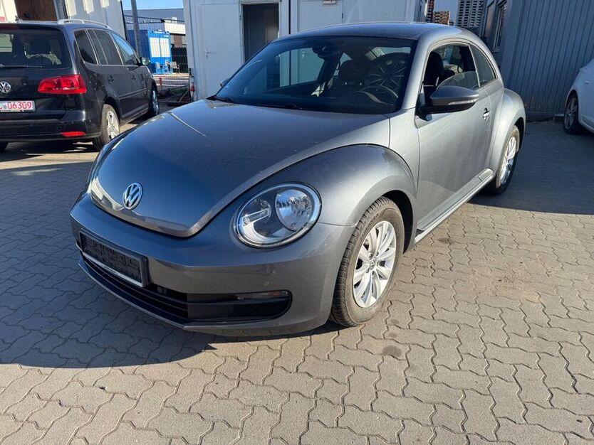 Beetle