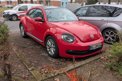 VW Beetle 165.000 km 8.000 &euro; Buchholz in der Nordheide 21244