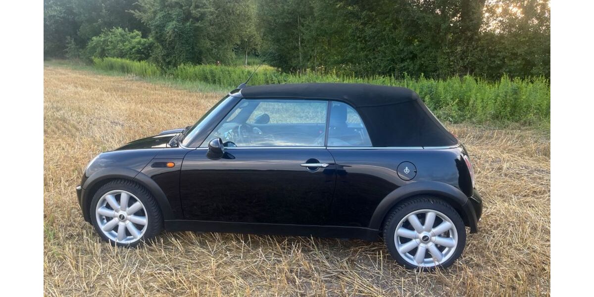 Mini Cooper Cabrio 52.000 km 6.900 &euro; Marxen 21439