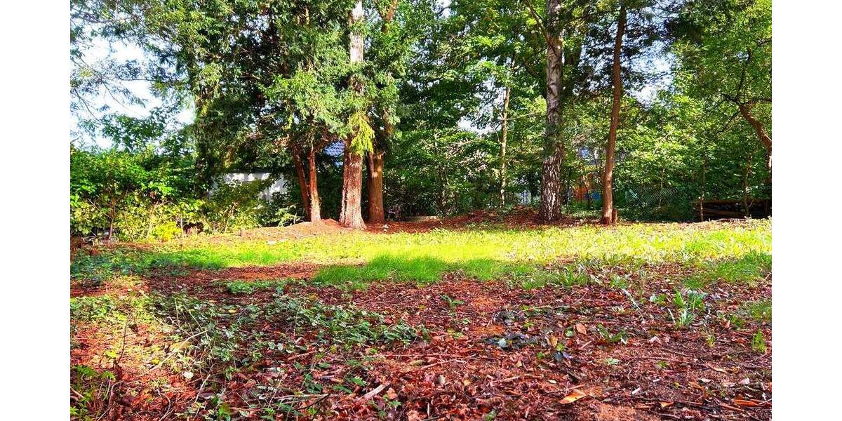 Grünes Paradies im Hamburger Westen - Ruhe, Natur und Raum für Ihre Träume zimmer