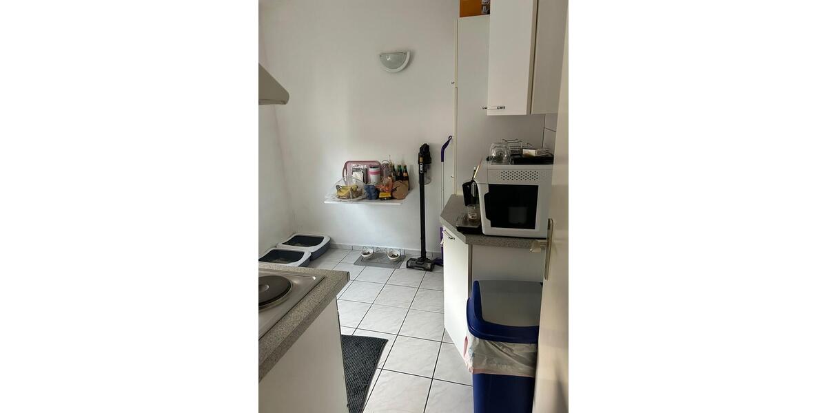 Helle Wohnung mit grossem Wohnzimmer 1 zimmer