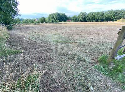 VIEL PLATZ FÜR IHRE WOHNTRÄUME - IN RUHIGER LAGE