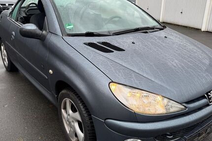 Peugeot 206 149.534 km 800 &euro; Henstedt-Ulzburg (bei Hamburg) 24558