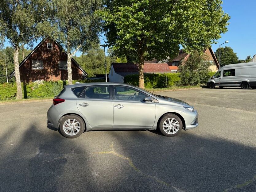 Auris