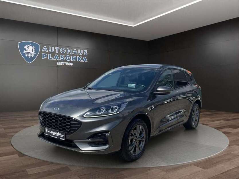 Kuga